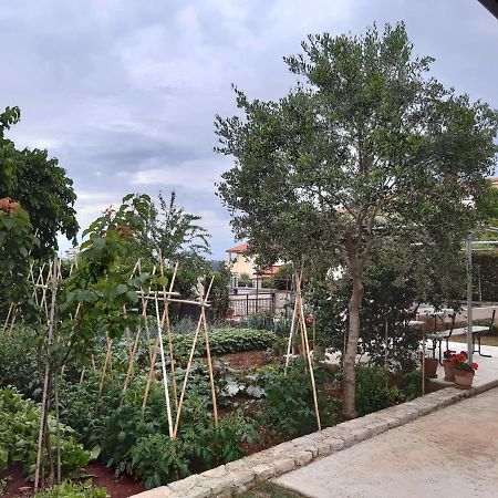 Apartment Thea Пула Екстериор снимка