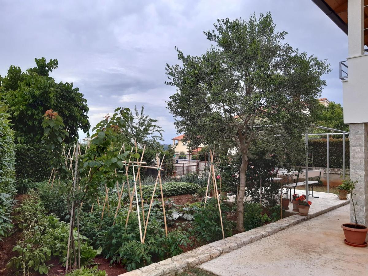 Apartment Thea Пула Екстериор снимка